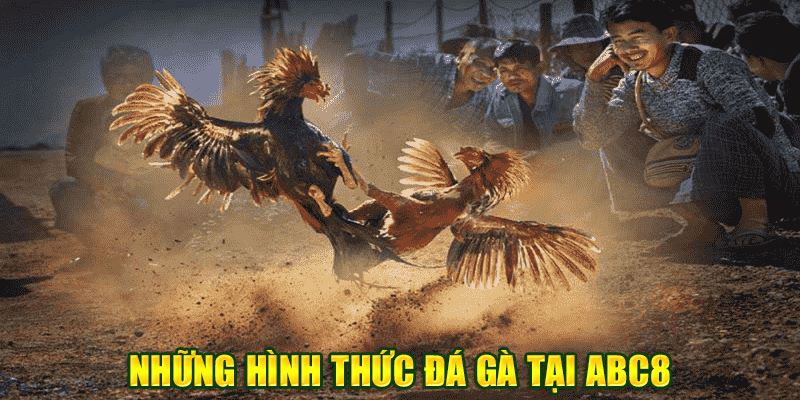 Đá gà Philippines là hình thức Đá gà ABC8 được đánh giá cao